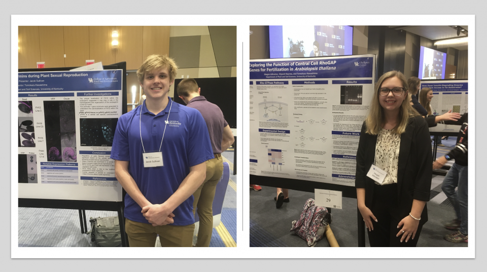 UK Undergraduate Research 16th annual Showcase (4.26.2022)